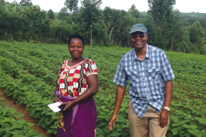 Growing new soybeans for Uganda