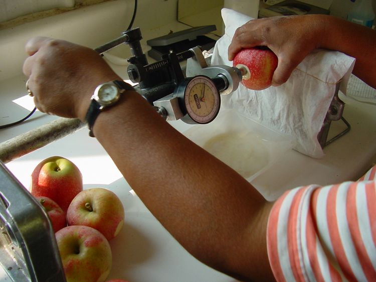 Pressure testing apples