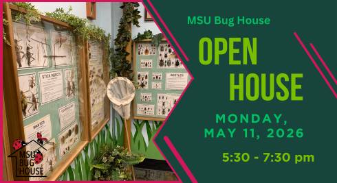 An image of diverse insects mounted in wall displays with an insect net. Text reads 