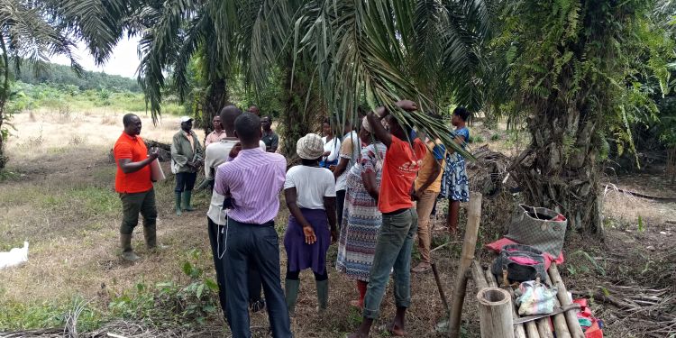 Clifford Yeboah-Manson facilitating a discussion with area rice farmers.