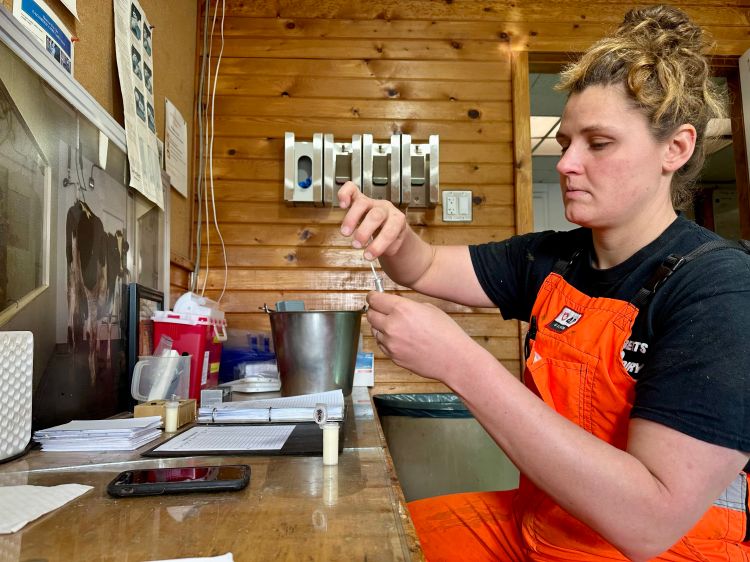 Carolyn Dominguez, MSU Dairy Cattle Teaching and Research Center herdsperson.