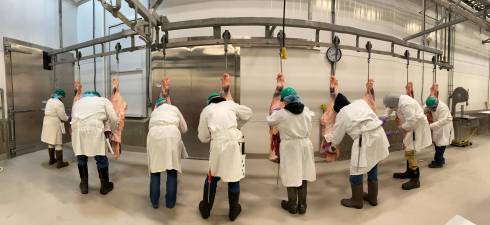 students learning to break down swine carcasses.