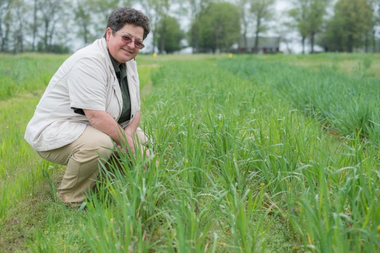 Sieg Snapp took over the Living Field Laboratory in 2006 upon Harwood's retirement.