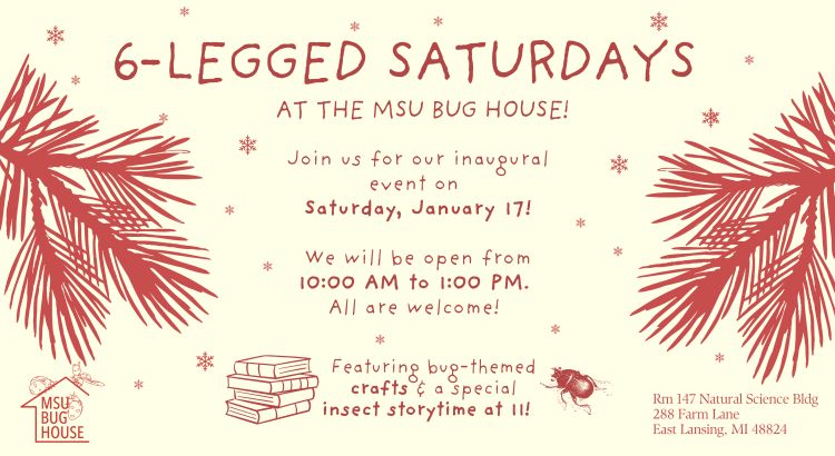 6-legged saturdays at the MSU bug house. Join us for our inaugural event on
Saturday, January 17!
We will be open from 10:00 AM to 1:00 PM.
All are welcome!
MSU BUG
HOUSE
Featuring bug-themed crafts and a special insect storytime at 11!
Rm 147 Natural Science Bldg
288 Farm Lane
East Lansing, MI 48824