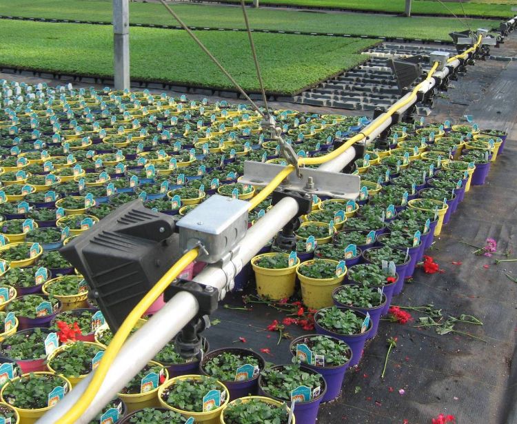 Lamps attached to irrigation booms should be operated for at least four hours and pass each plant at least every 15 to 20 minutes. Photo by Erik Runkle, MSU