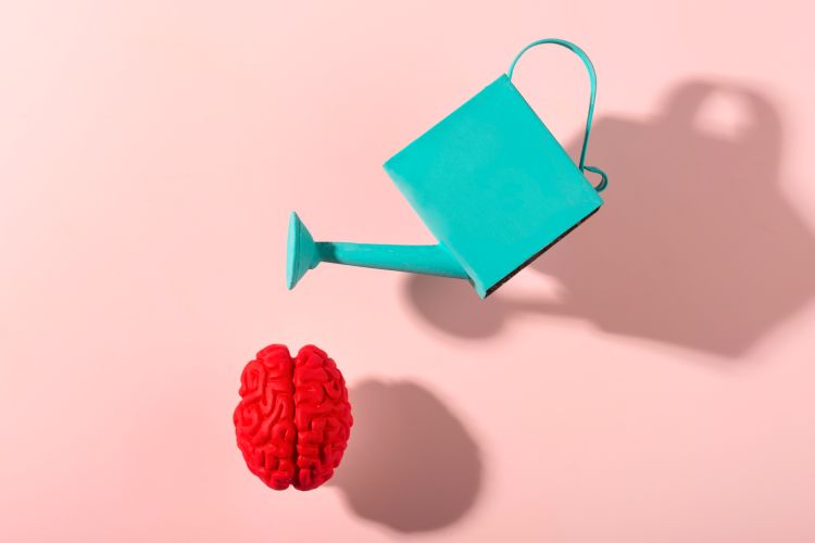 An illustration of a teal watering can over top of a red colored human brain.