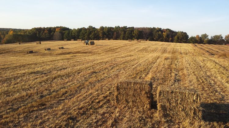 Rufus Isaacs and Doug Landis are looking to team up with grassland owners and managers to study pollination.