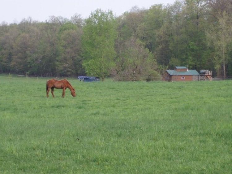 The Tollgate Farm and Education Center is one of many tours included in the “Woodlands in My Backyard” event. | Photo courtesy of tollgate.msu.edu