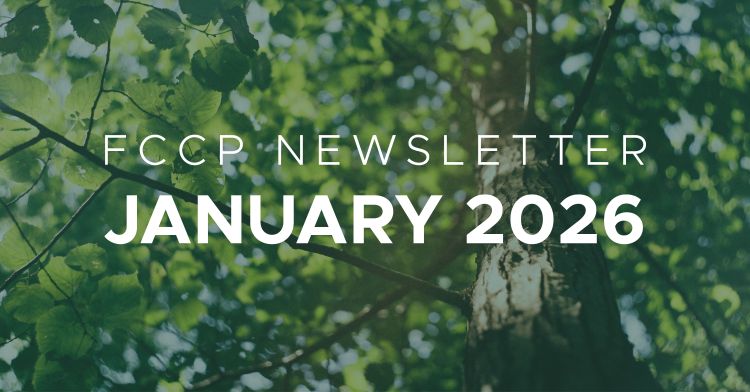 Picture of a tree with branches with 