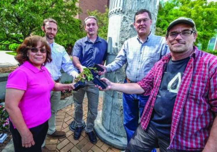 Photo of five people holding a vegtable plant.