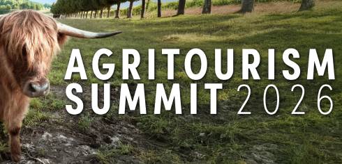 highland cow in an orchard