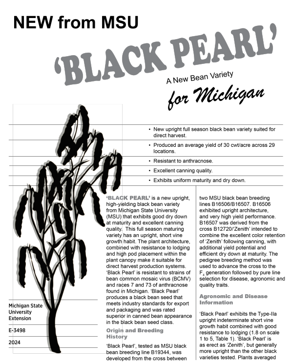 Cover of front of fact sheet.