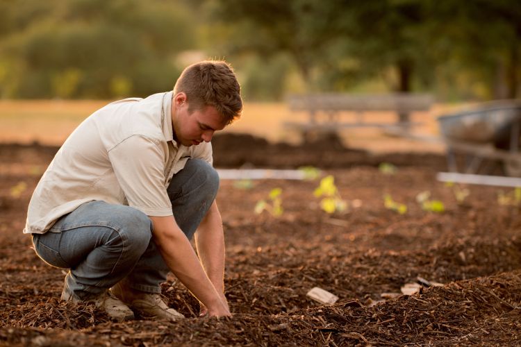 Man bending down in field