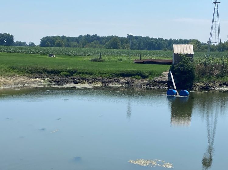 A pond next to a field where crops are grown.