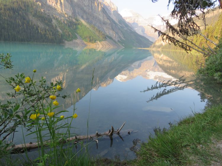 Lake Louise with the Canadian Rockies in the background.