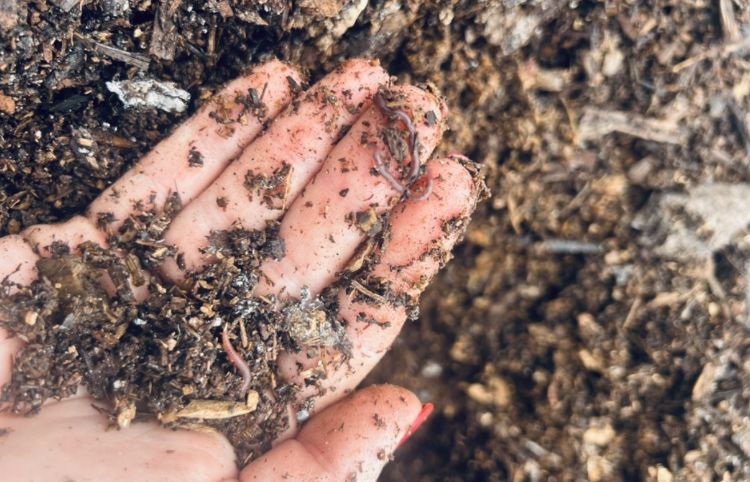 A hand covered in organic materials including a few earthworms.