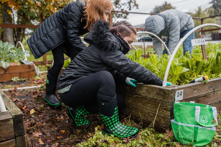 Two students working in a raised garden bed.