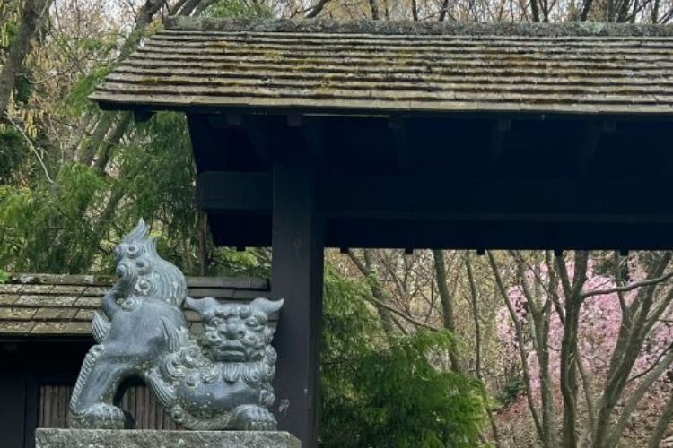 Image of the entrance to the MSU Japanese Garden.