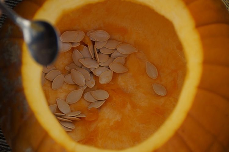 Besides carving them, there are a lot of great ways to use pumpkins to expand children’s interests. Photo credit: Rebecca Finneran | MSU Extension