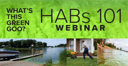 harmful algae blooms in lakes and streams