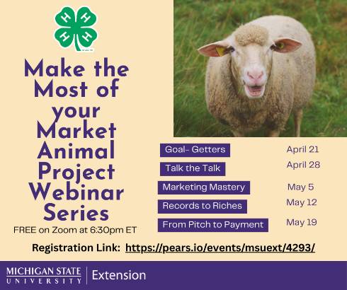 Picture of a lamb in upper right corner with a 4-H clover logo in the upper left. MSU Extension logo is in the bottom left corner.