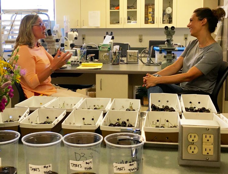 Nikki Rothwell talks to ABC chief meteorologist Ginger Zee about Michigan’s cherry production.