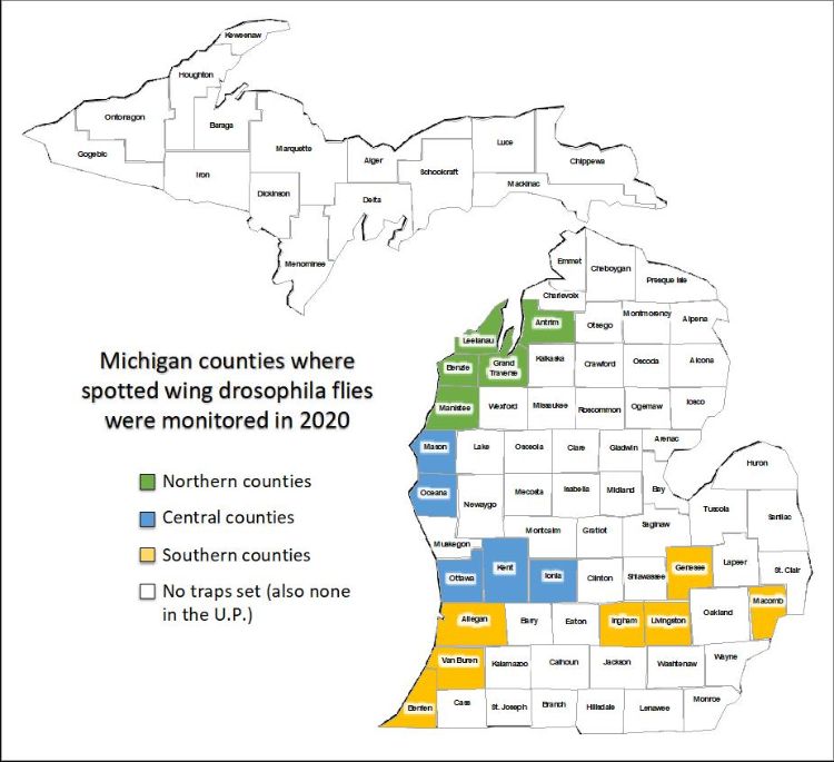 Counties where SWD populations are being monitored