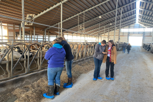 Michigan State University Dairy Education