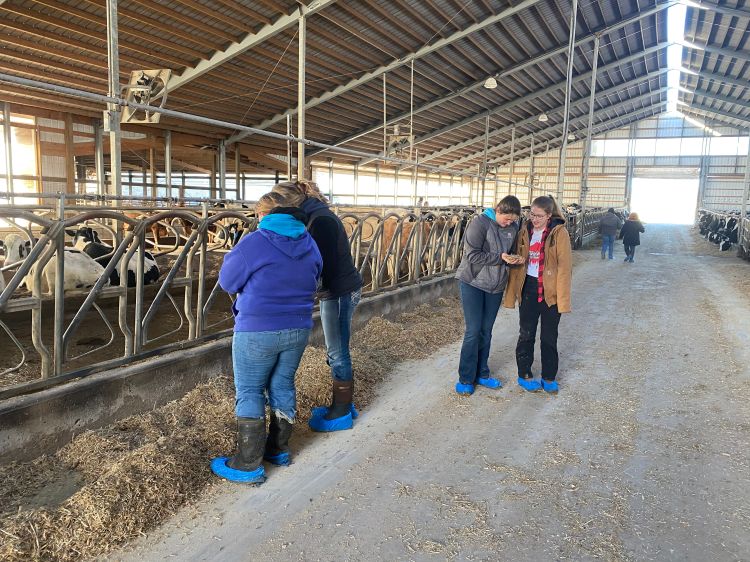 People standing in barn