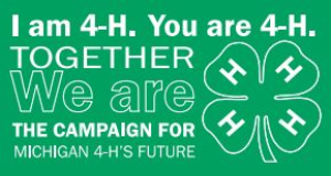 Campaign to end Dec. 31