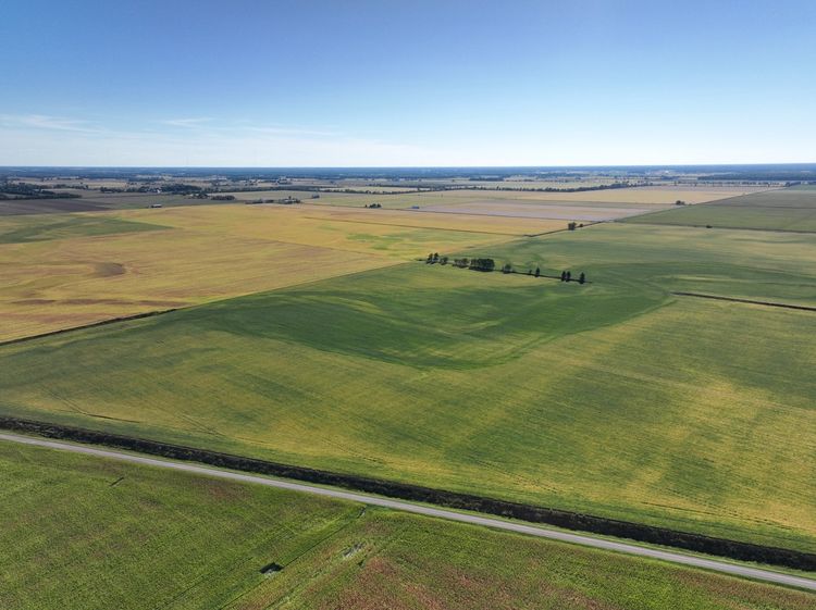 Aerial view of expansive farmland divided into large green and golden crop fields, with a narrow rural road crossing the foreground. Scattered trees, farm buildings, and additional fields extend toward the horizon beneath a clear blue sky.