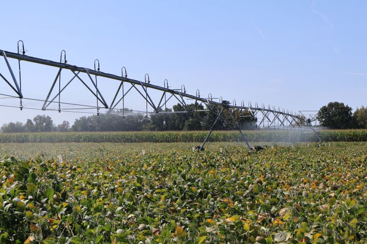 Center pivot irrigation system spraying water over a soybean field on a sunny day.