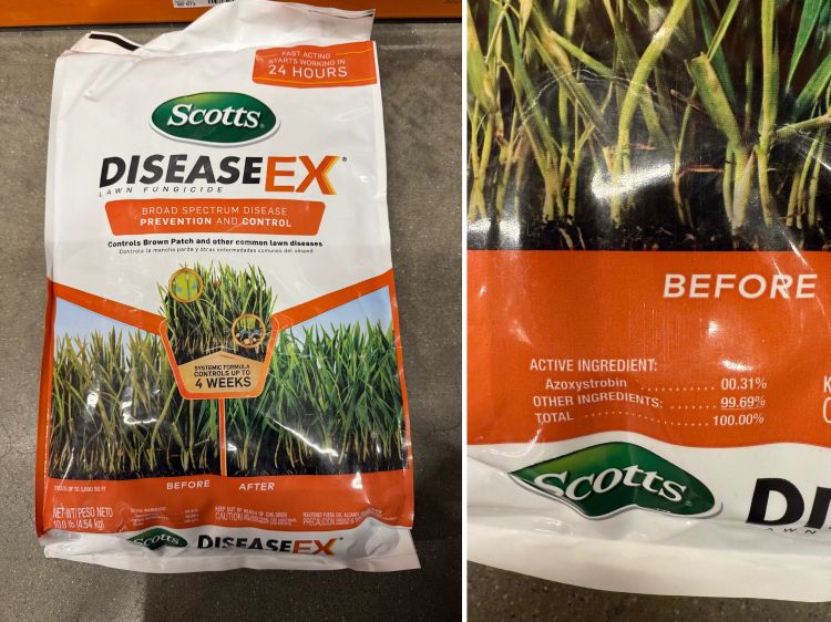 Collage showing a bag of Scotts DiseaseEx lawn fungicide with close-up images of the packaging highlighting brown patch disease control and the active ingredient azoxystrobin.