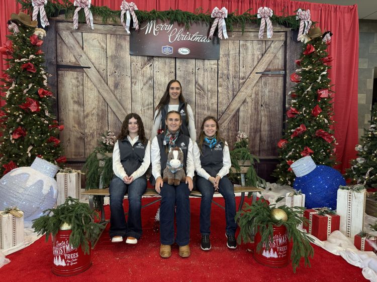 A group of young ladies in matching grey vests on front of a Christmas backdrop.