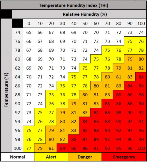 heat stress chart for cattle