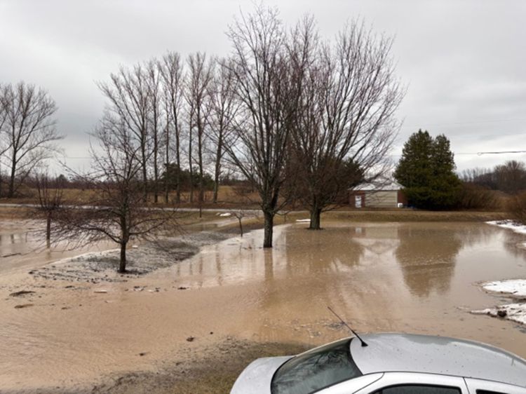 A front yard flooded with standing water.