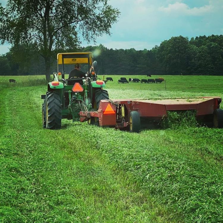 A farmer cutting hay from a field with a tractor and a haybine.