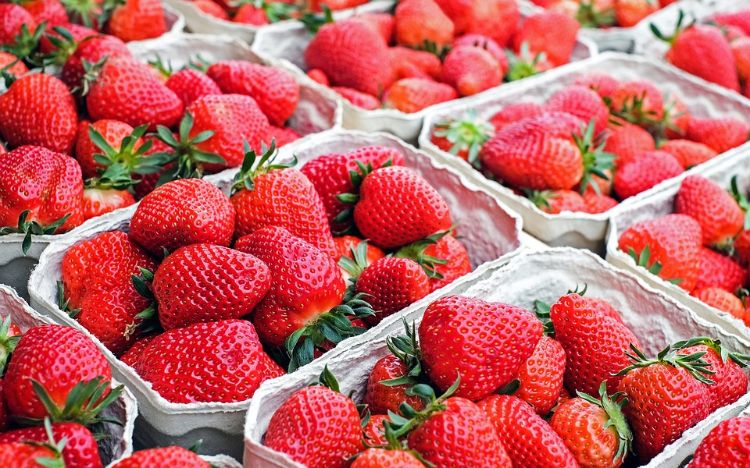 Strawberries in boxes.