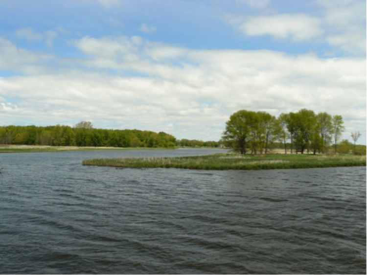 Large rivers such as the Grand River provide a variety of habitat for fish, birds, and other wildlife. Photo: Daniel O'Keefe | Michigan Sea Grant