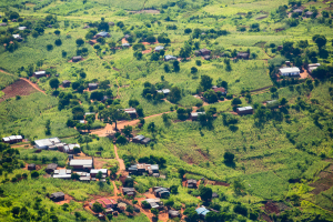 MSU researcher finds that a quarter of Africa's trees are located outside areas classified as forest