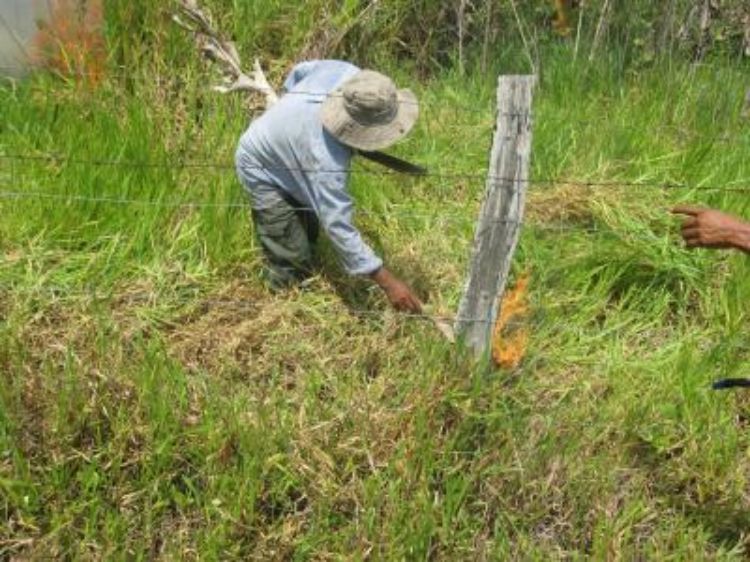 Farmers in many parts of the world, like this one in the Peruvian Amazon, routinely use fire to clear land.
Photo by Kevin Krajick/Earth Institute