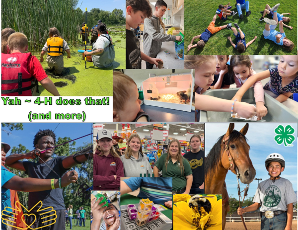 4-H Newsletter for February-2024