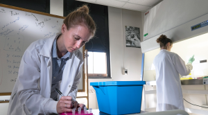 MSU College of Agriculture and Natural Resources ranked eighth internationally, fifth in US