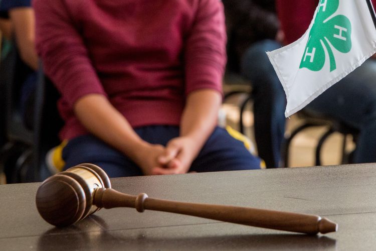 Gavel next to 4-H flag