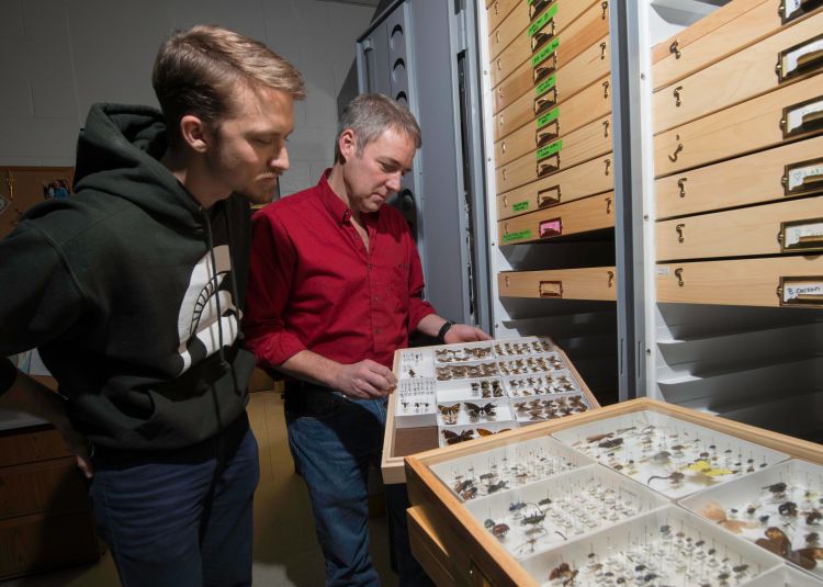 Doug Landis (right), MSU professor of entomology, discusses pollinators with MSU graduate student Mitchell Lettow