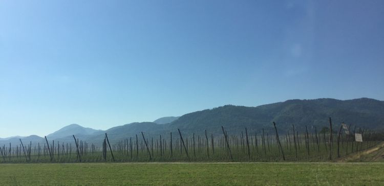 A picture of mountains, a fence, and a blue sky