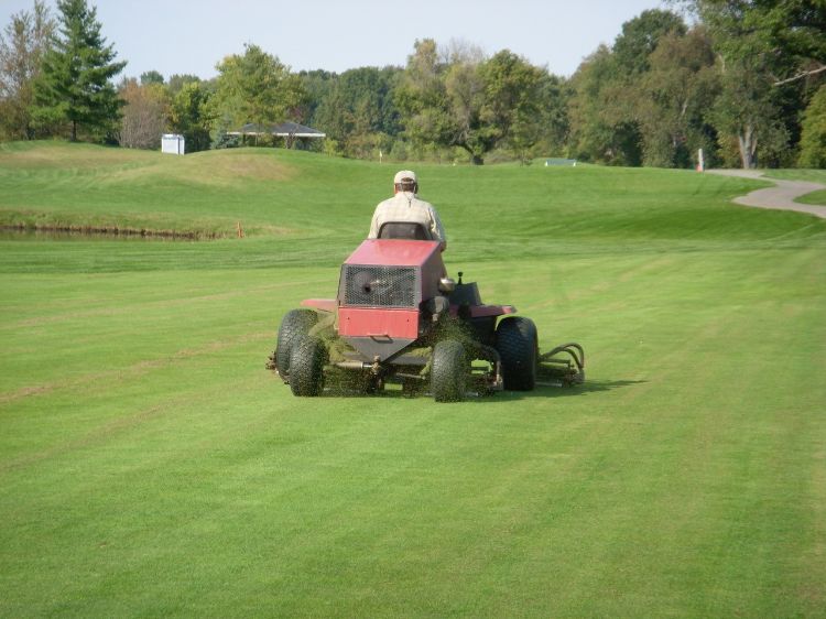 Mowing fairway