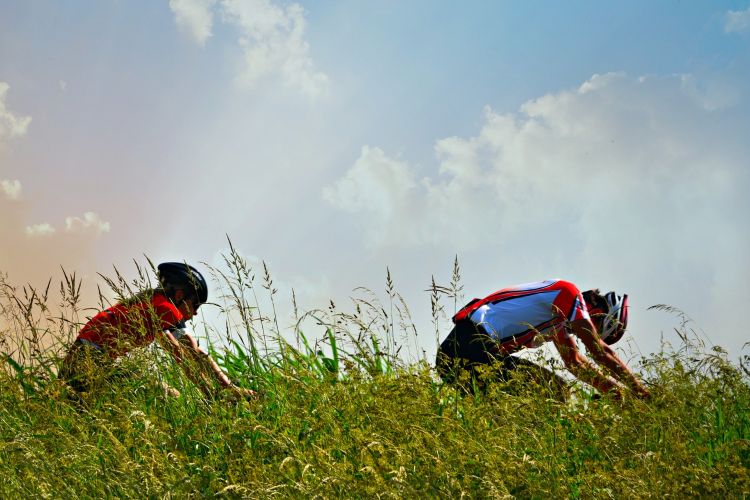 Two cyclists riding on a summer day.