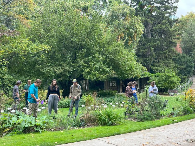 Students taking pictures of plants in a garden.