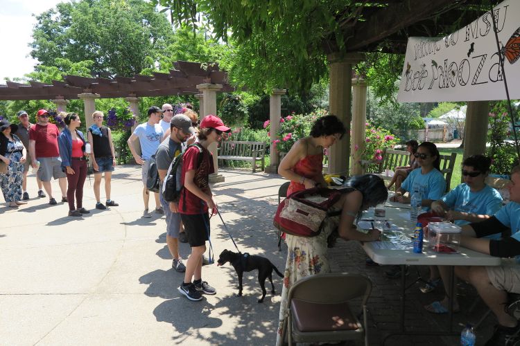 Crowd at Bee Palooza